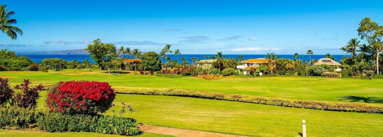 https://bt-photos.global.ssl.fastly.net/maui/1280_boomver_1_410367-2.jpg