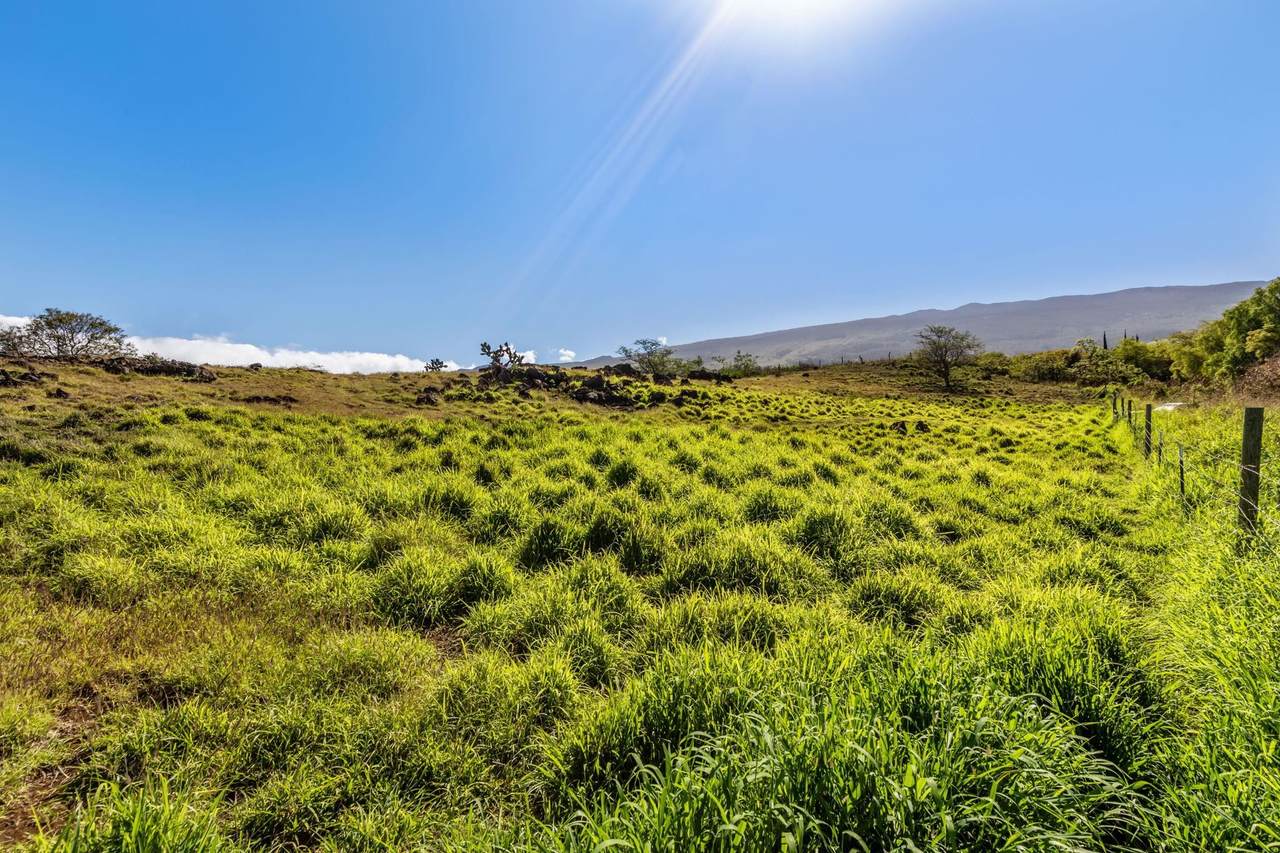 https://bt-photos.global.ssl.fastly.net/maui/1280_boomver_1_410418-2.jpg