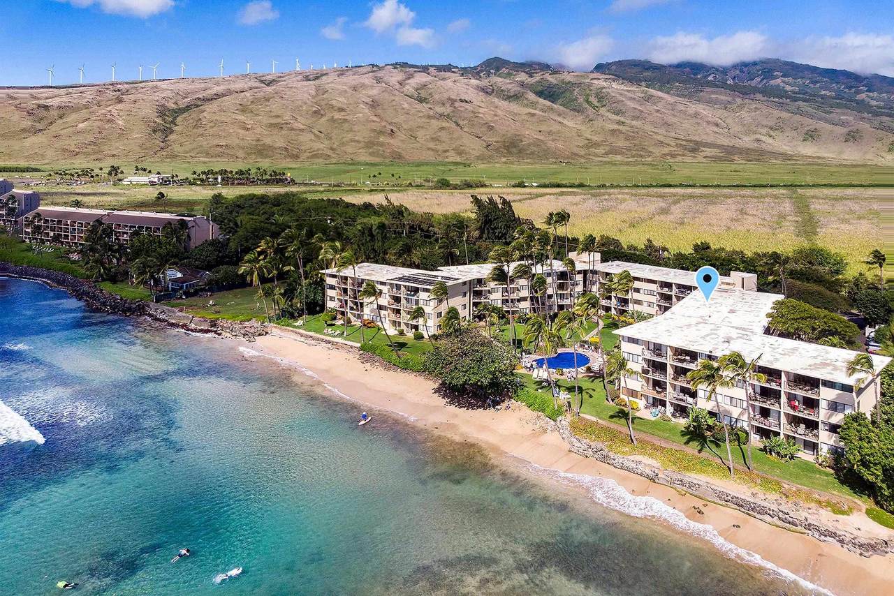 250 Hauoli St - Photo 1