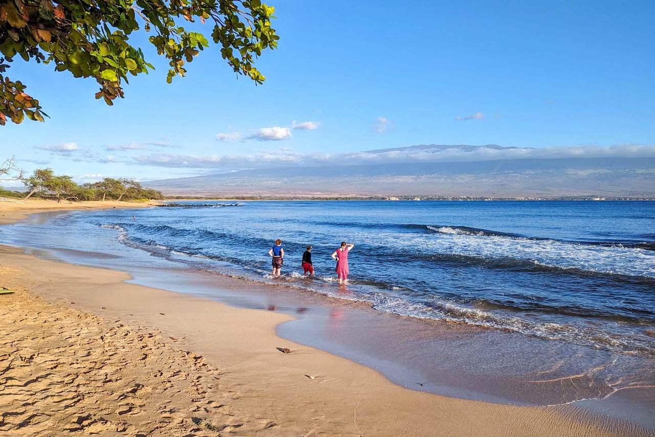 https://bt-photos.global.ssl.fastly.net/maui/1280_boomver_1_410424-2.jpg