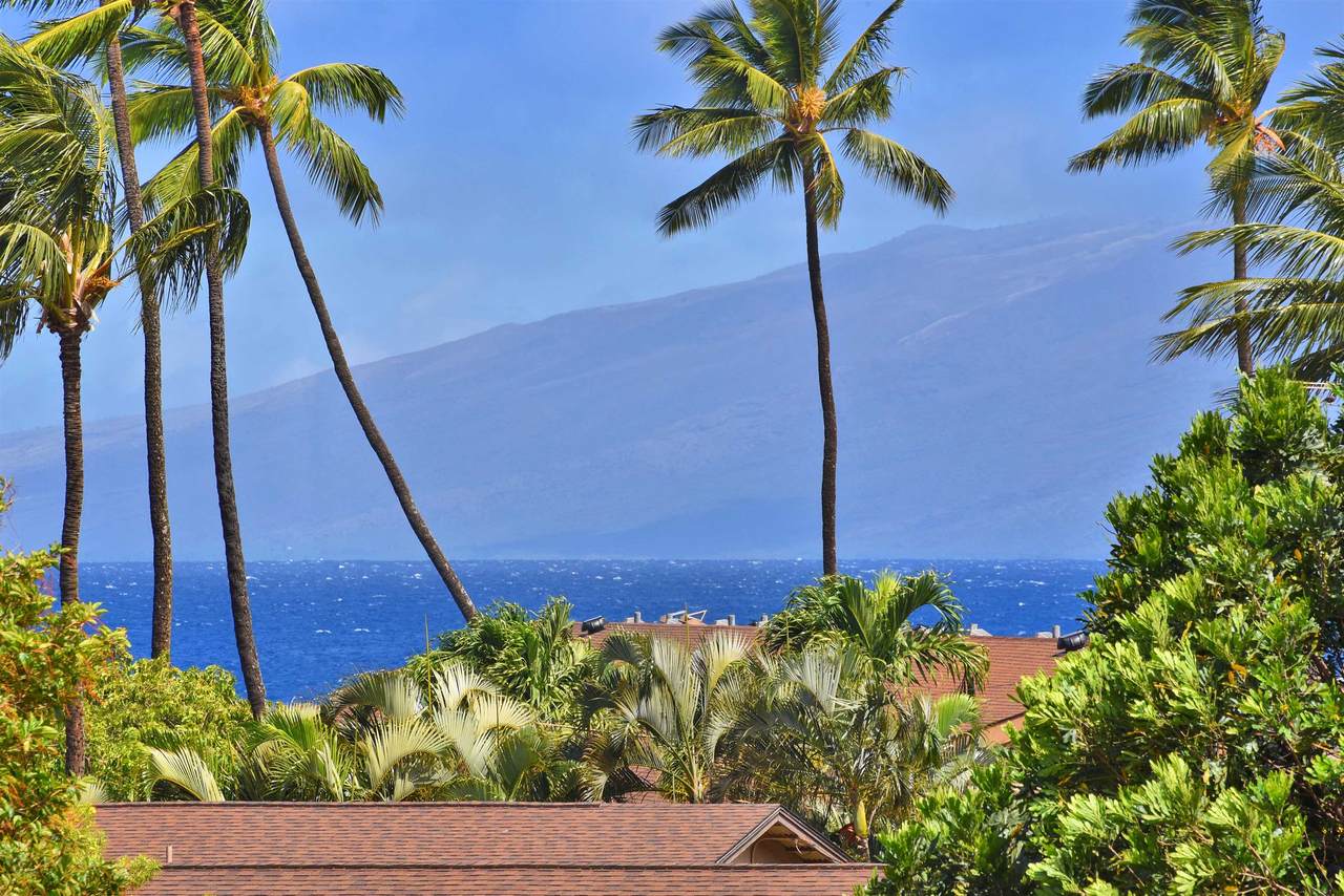3660 Lower Honoapiilani Rd - Photo 1