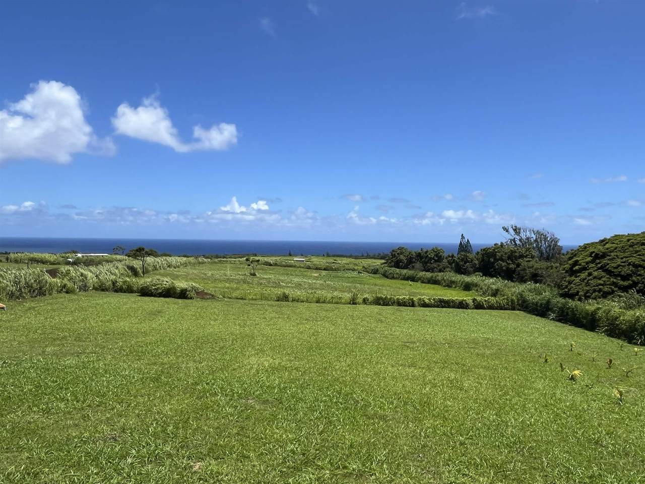 https://bt-photos.global.ssl.fastly.net/maui/1280_boomver_2_410548-2.jpg