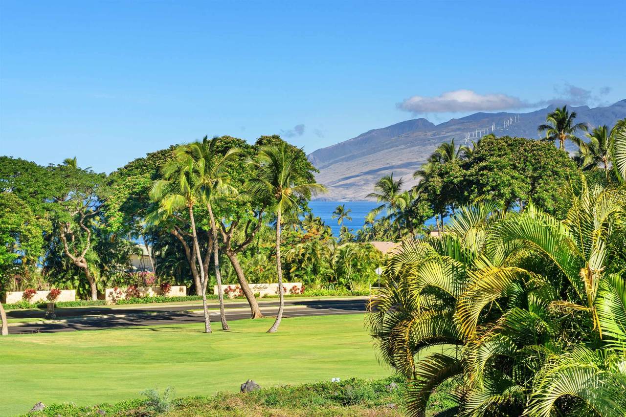 https://bt-photos.global.ssl.fastly.net/maui/1280_boomver_1_410641-2.jpg