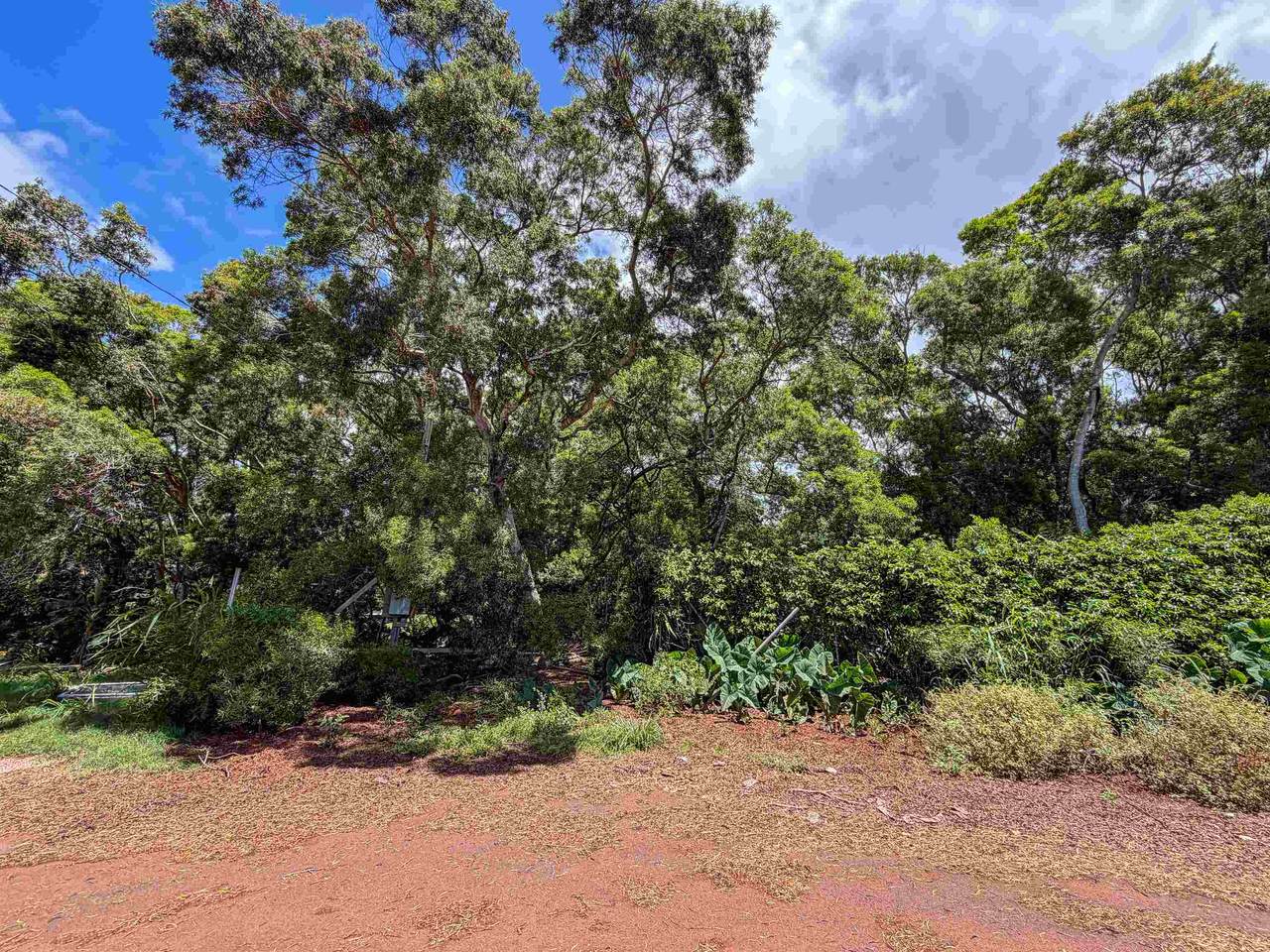 36 Koala Way - Photo 1