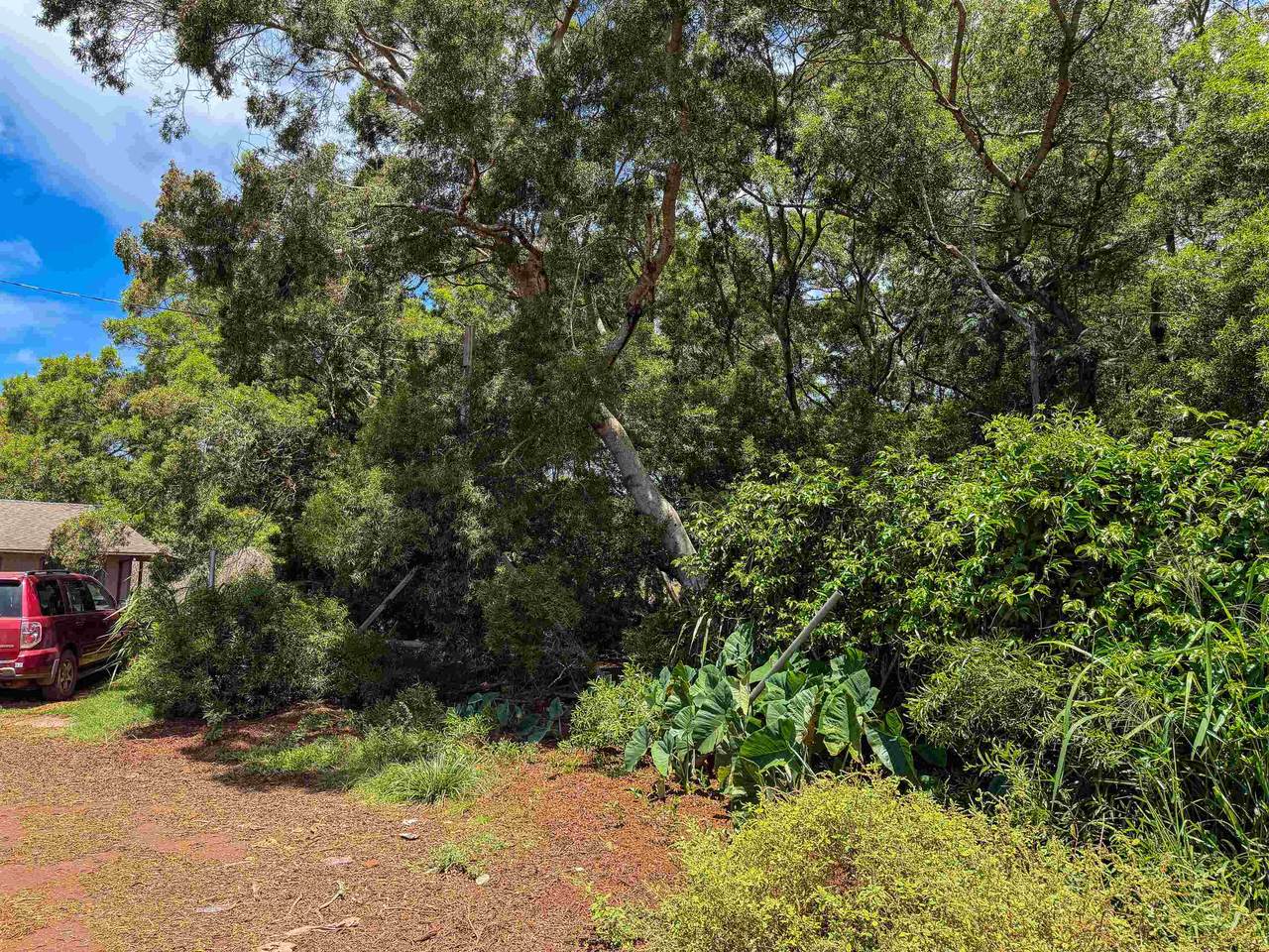 https://bt-photos.global.ssl.fastly.net/maui/1280_boomver_1_410726-2.jpg