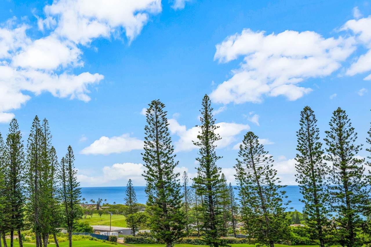 https://bt-photos.global.ssl.fastly.net/maui/1280_boomver_1_410783-2.jpg