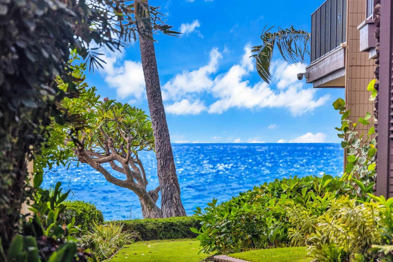 2994 Kihei Rd - Photo 1