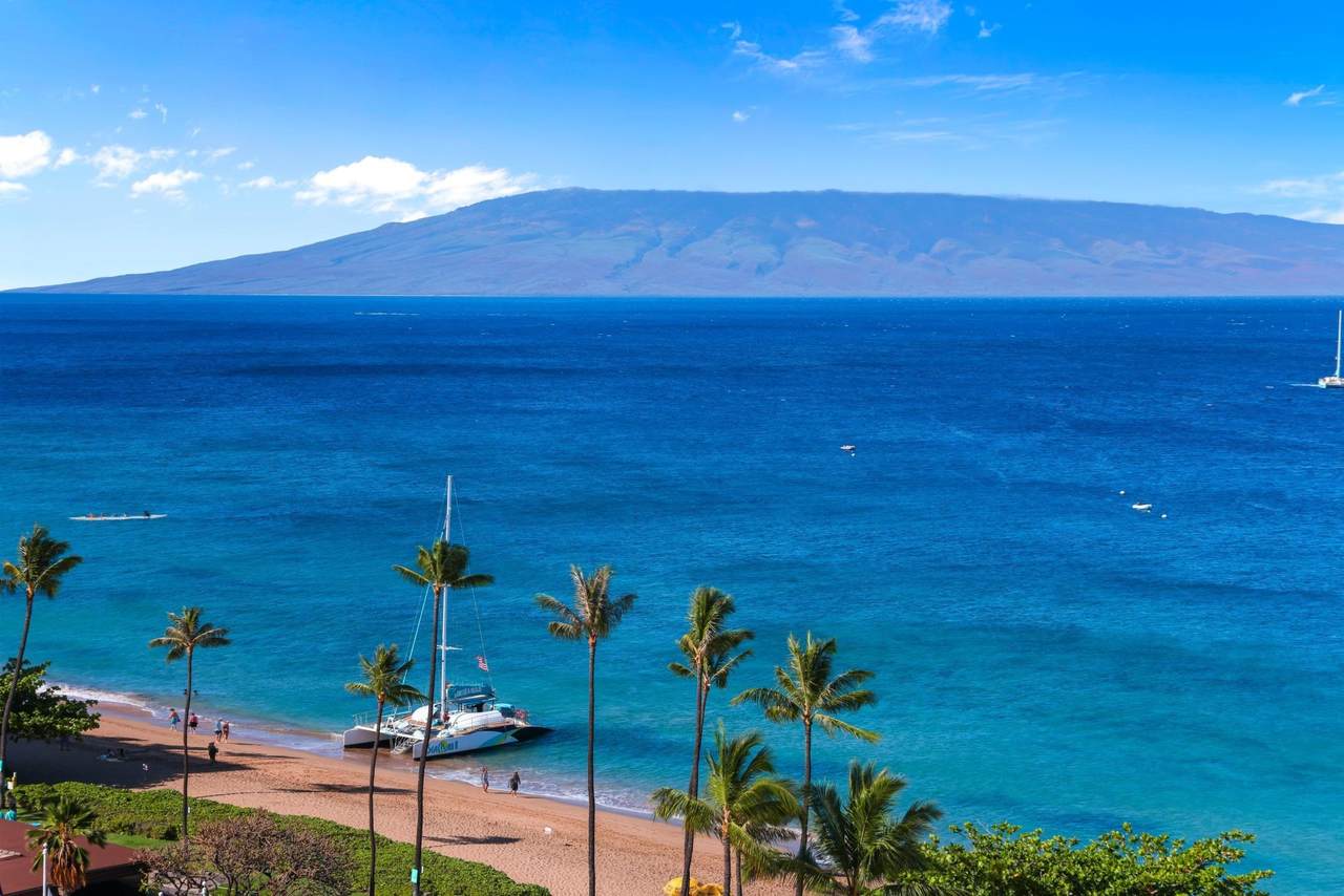 2481 Kaanapali Pkwy - Photo 1