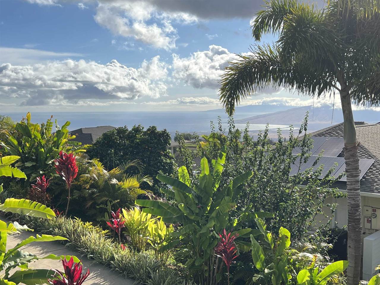 206 Kulamanu Cir - Photo 1