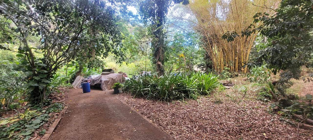 1448 Kuiaha Rd - Photo 1