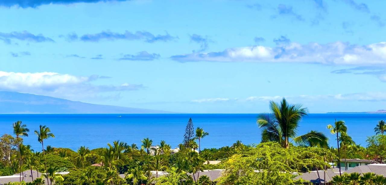161 Wailea Ike Pl - Photo 1