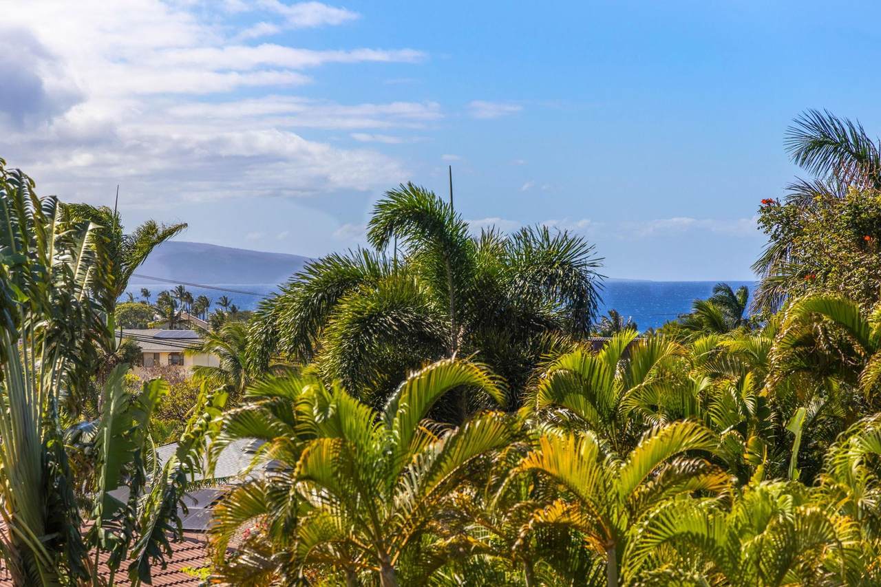 2630 Kanakanui Rd - Photo 1