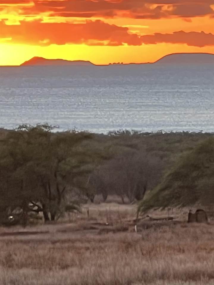 https://bt-photos.global.ssl.fastly.net/maui/1280_boomver_1_405536-2.jpg
