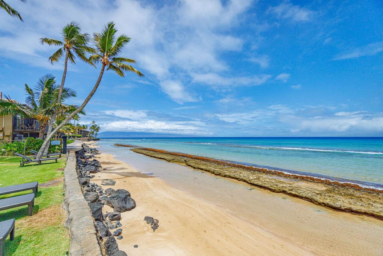 3559 Lower Honoapiilani Rd - Photo 1