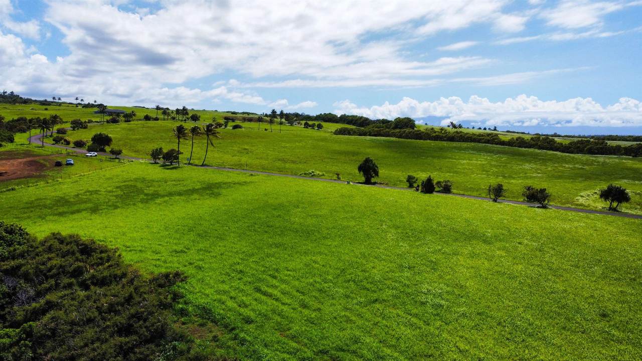 https://bt-photos.global.ssl.fastly.net/maui/1280_boomver_2_406355-2.jpg
