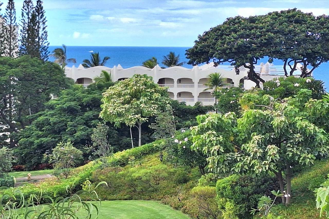 173 Holokahiki Ln - Photo 1