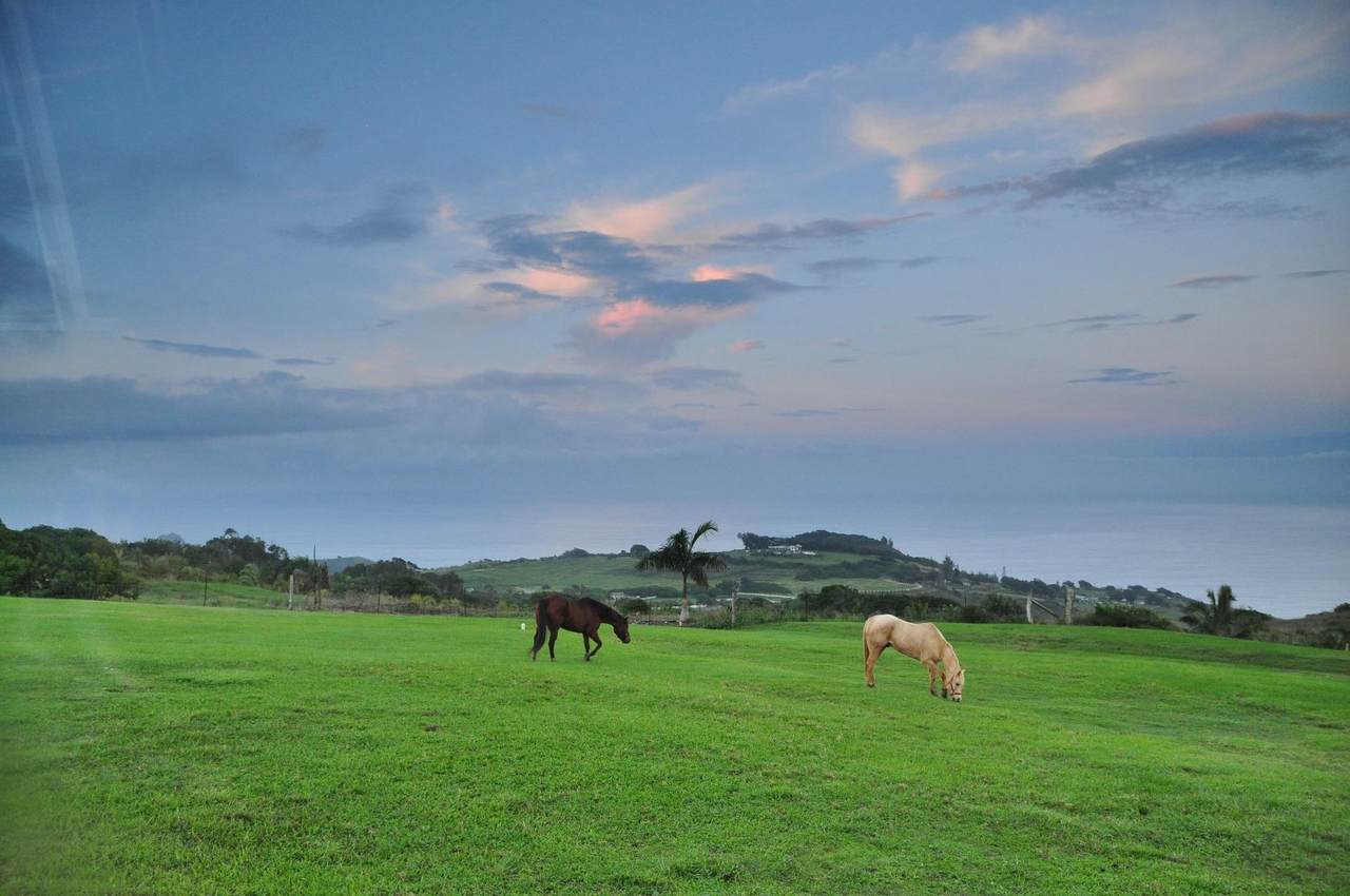 https://bt-photos.global.ssl.fastly.net/maui/1280_boomver_2_406466-2.jpg