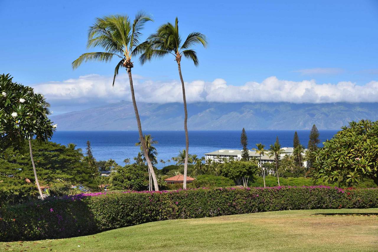 https://bt-photos.global.ssl.fastly.net/maui/1280_boomver_2_406603-2.jpg