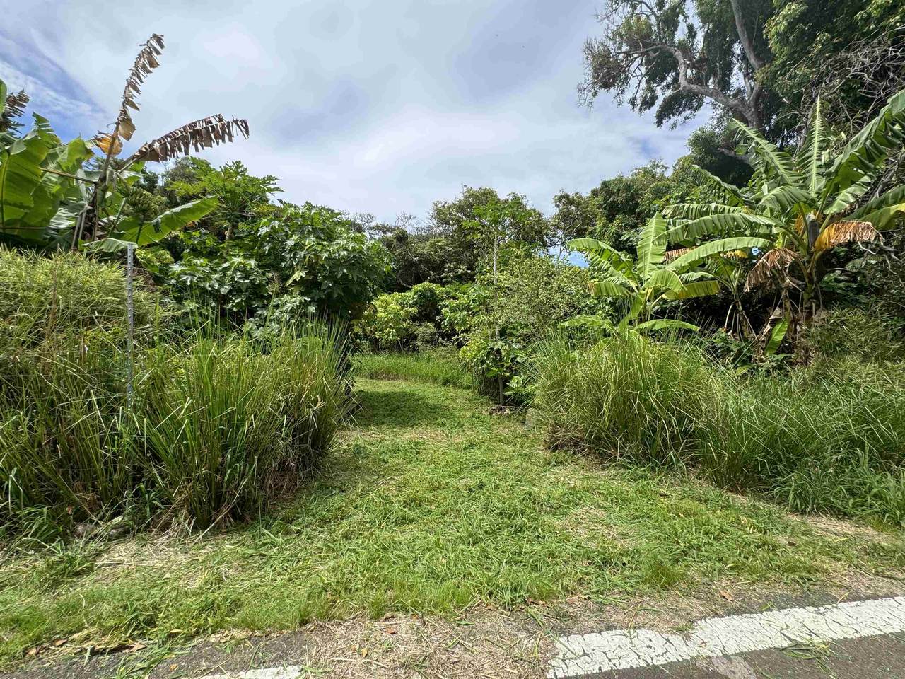 https://bt-photos.global.ssl.fastly.net/maui/1280_boomver_2_406631-2.jpg