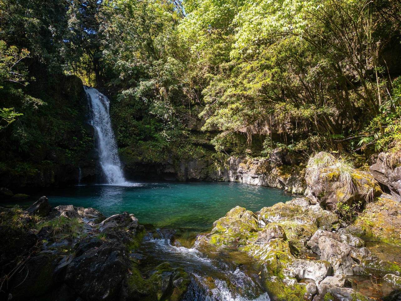 725 Nahiku Rd - Photo 1