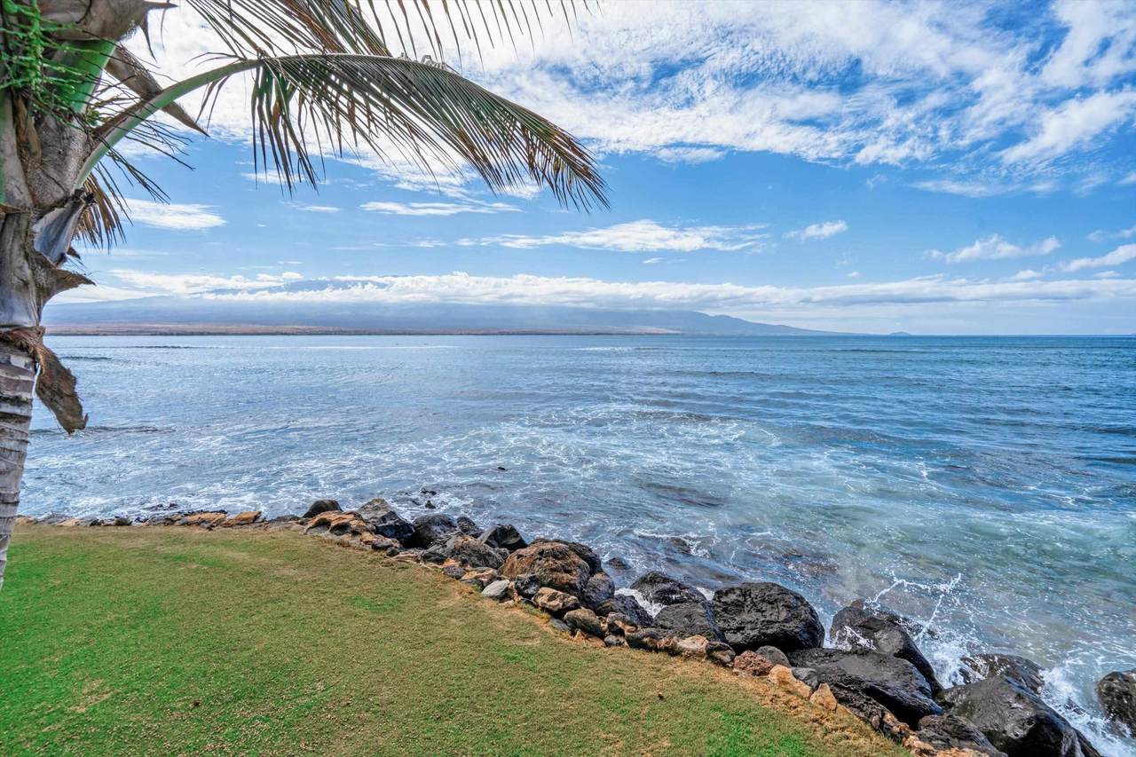 50 Hauoli St - Photo 1