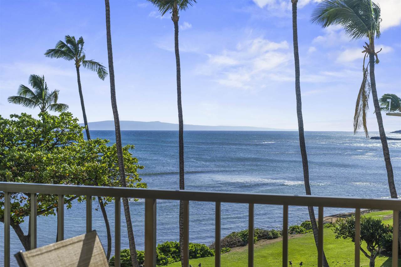 250 Hauoli St - Photo 1