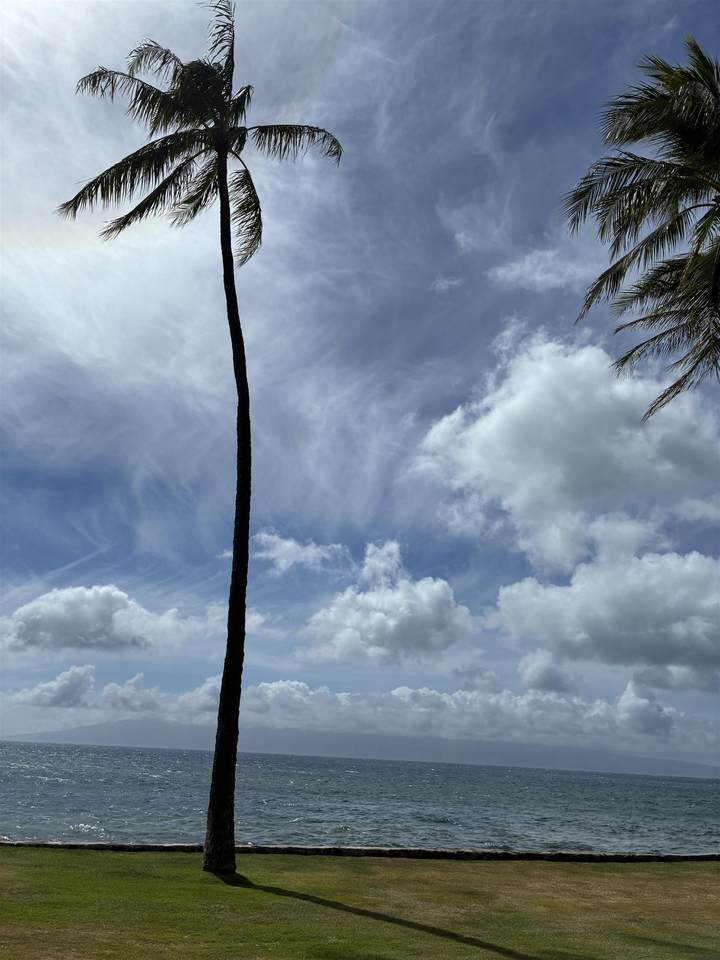 https://bt-photos.global.ssl.fastly.net/maui/1280_boomver_2_407192-2.jpg