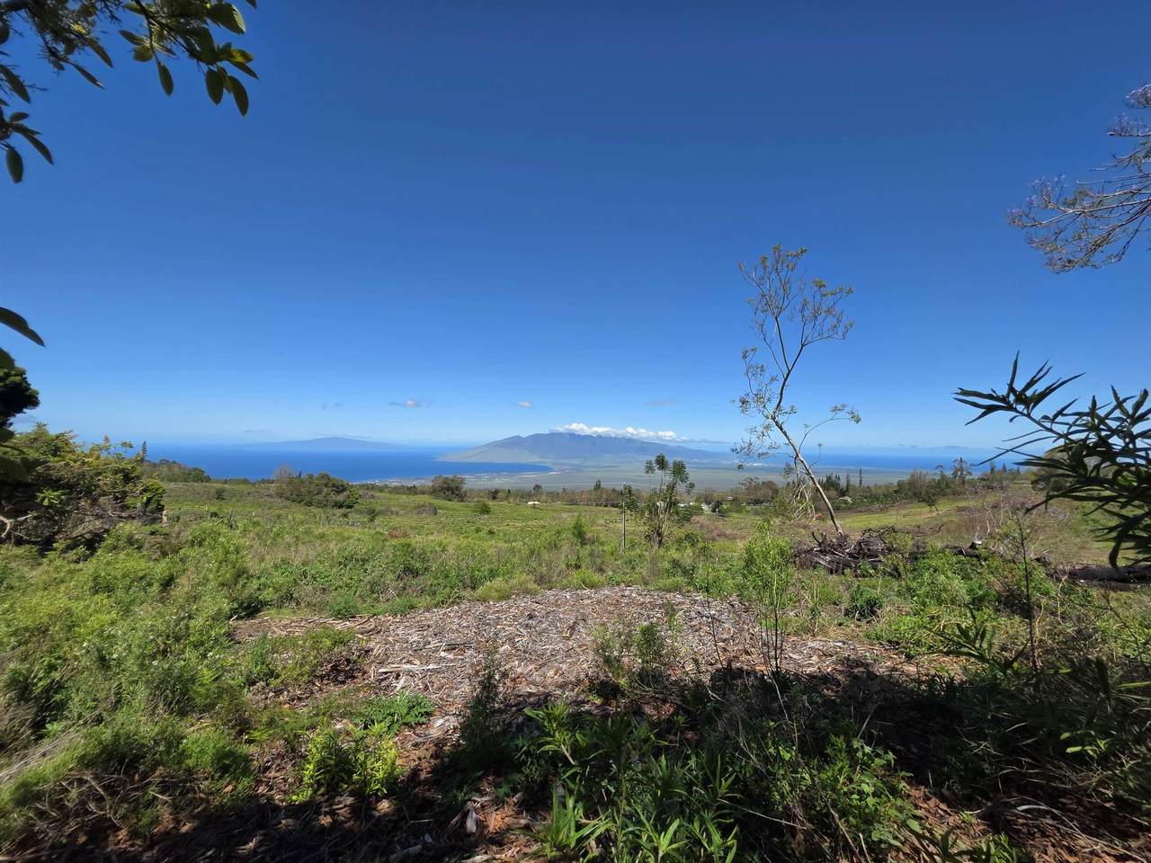 487 Cross Rd - Photo 1