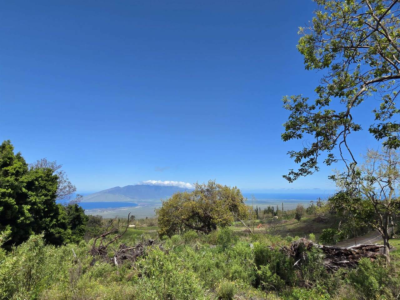 https://bt-photos.global.ssl.fastly.net/maui/1280_boomver_1_408381-2.jpg