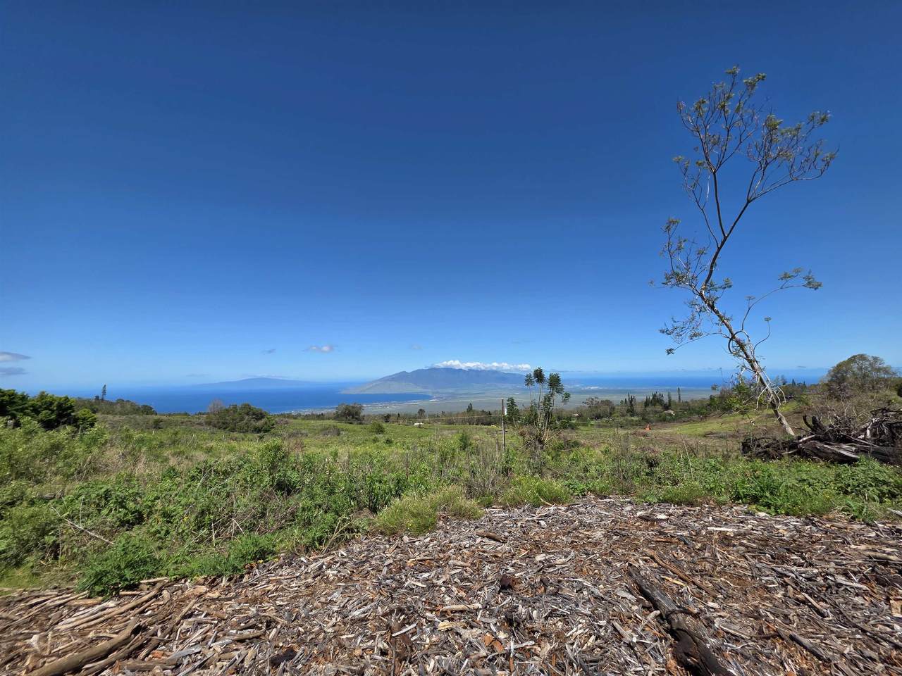 https://bt-photos.global.ssl.fastly.net/maui/1280_boomver_1_408381-2.jpg