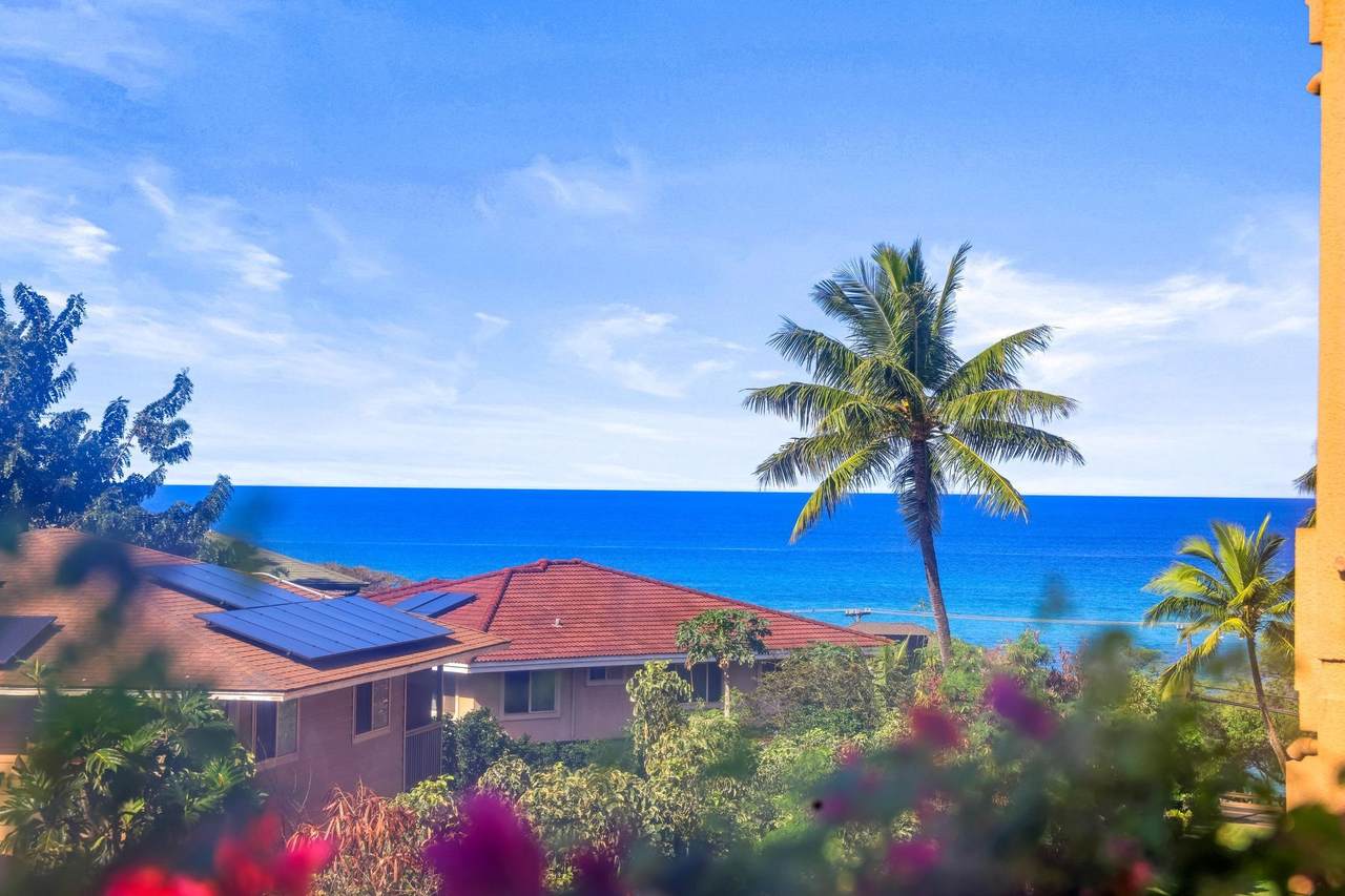 4242 Lower Honoapiilani Rd - Photo 1