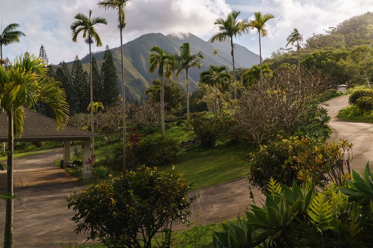 https://bt-photos.global.ssl.fastly.net/maui/1280_boomver_3_408673-2.jpg
