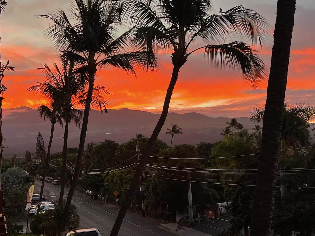 1993 Kihei Rd - Photo 1