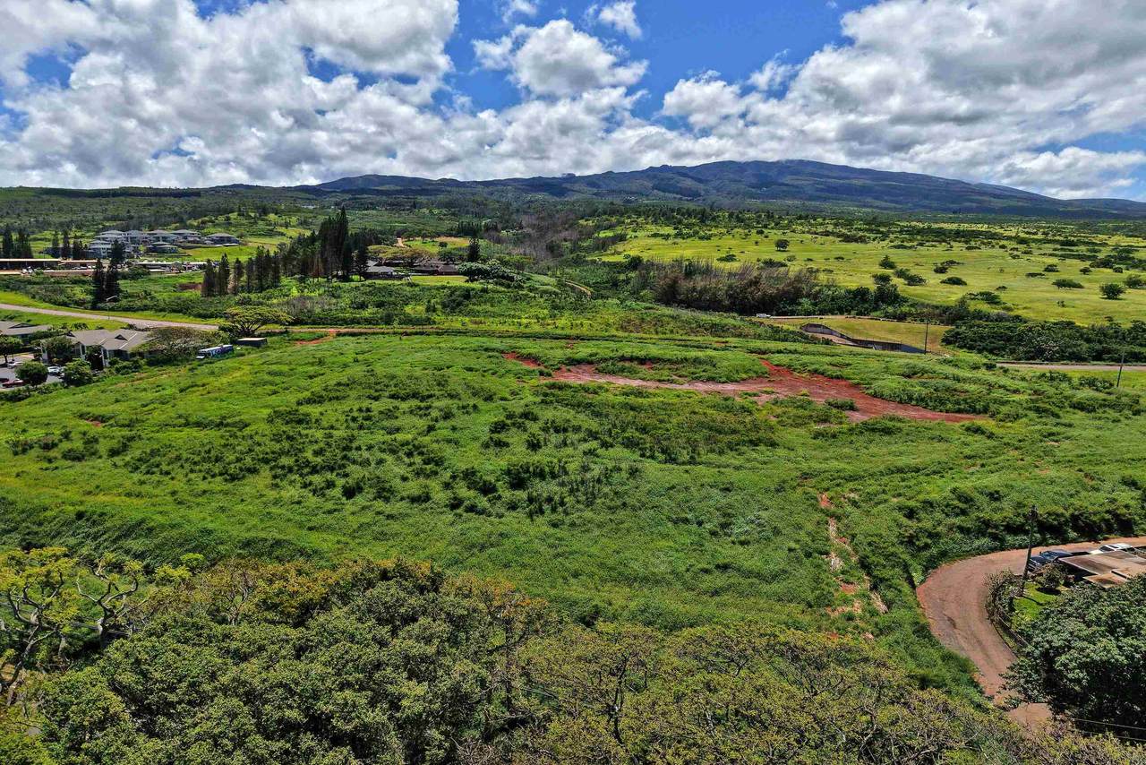 https://bt-photos.global.ssl.fastly.net/maui/1280_boomver_2_409153-2.jpg