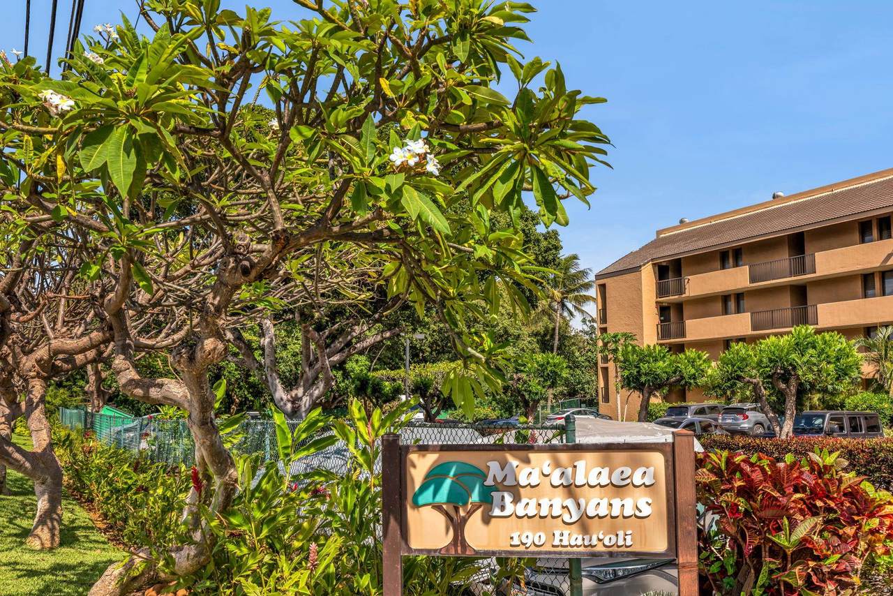 https://bt-photos.global.ssl.fastly.net/maui/1280_boomver_2_409251-2.jpg