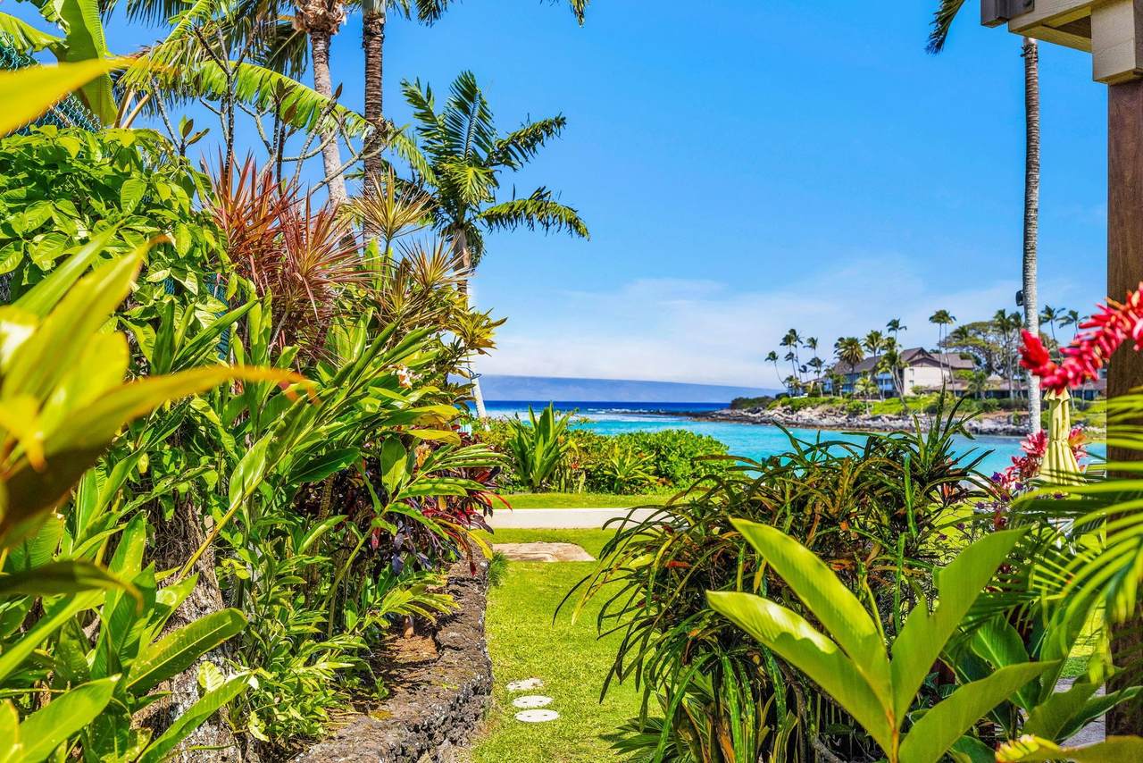 https://bt-photos.global.ssl.fastly.net/maui/1280_boomver_2_409261-2.jpg
