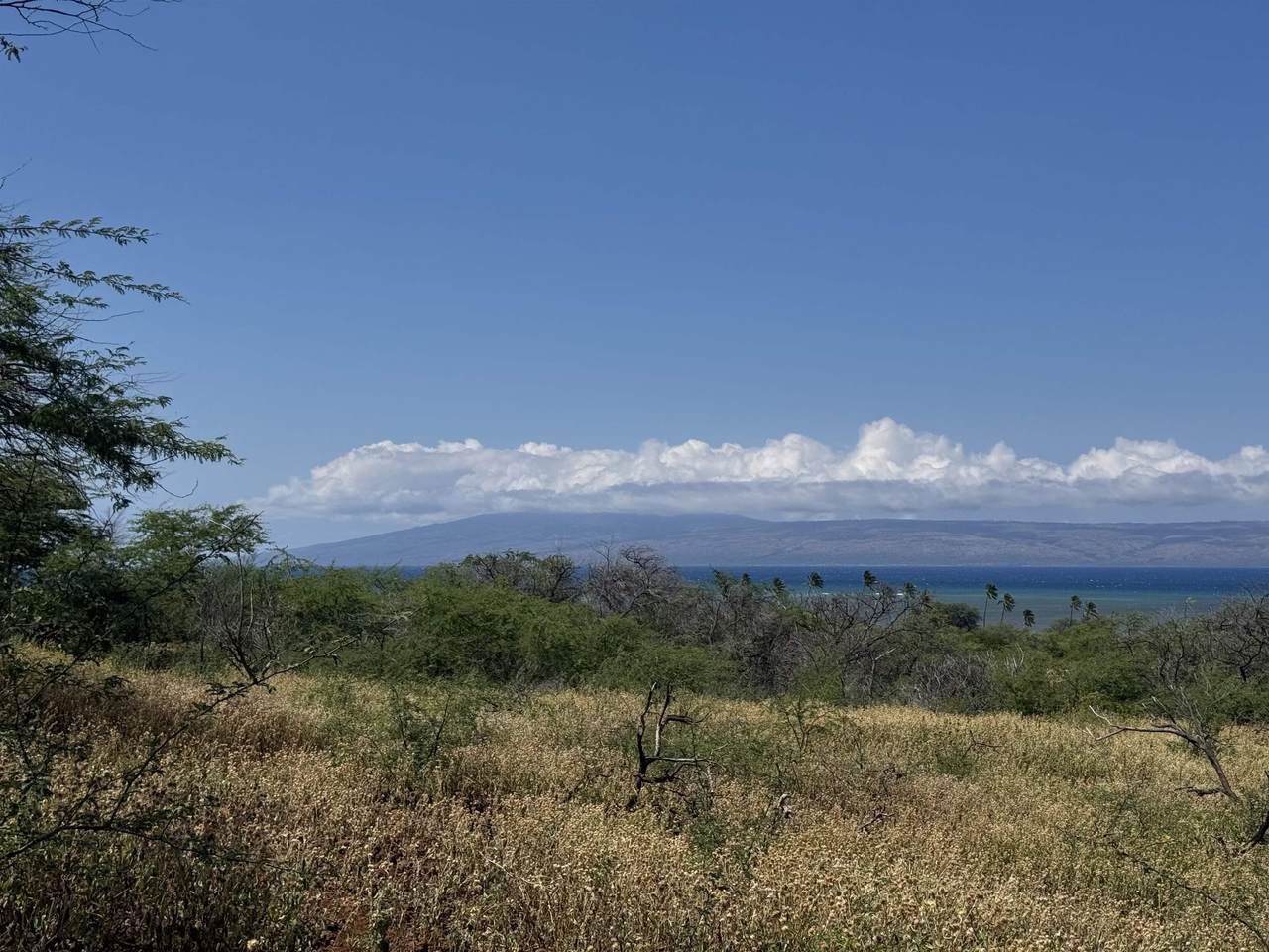 https://bt-photos.global.ssl.fastly.net/maui/1280_boomver_2_410077-2.jpg