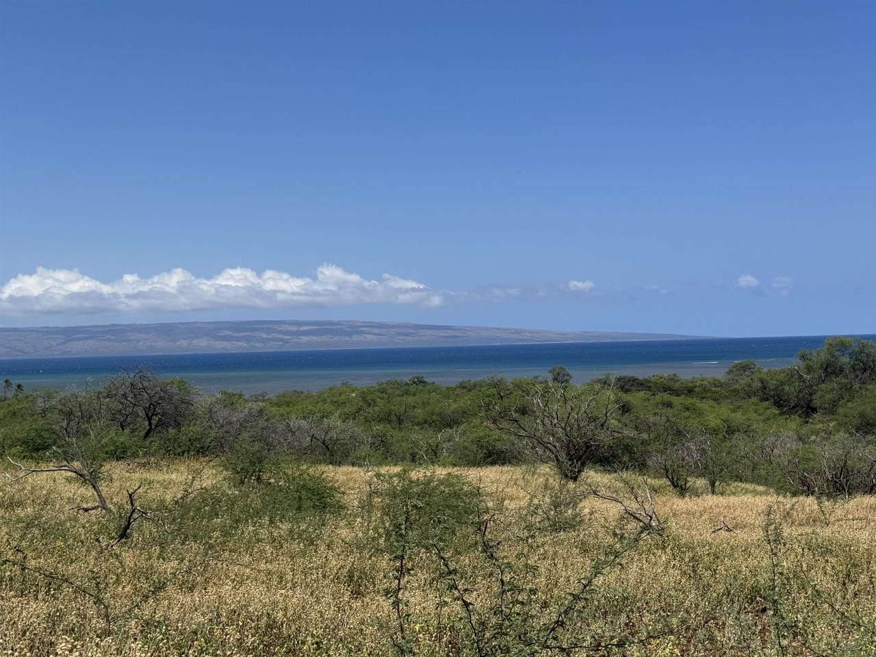 https://bt-photos.global.ssl.fastly.net/maui/1280_boomver_2_410077-2.jpg