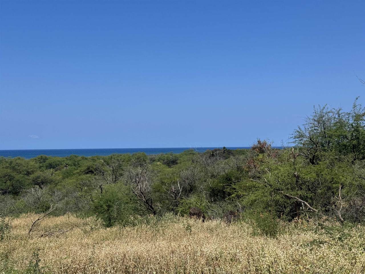 https://bt-photos.global.ssl.fastly.net/maui/1280_boomver_2_410077-2.jpg