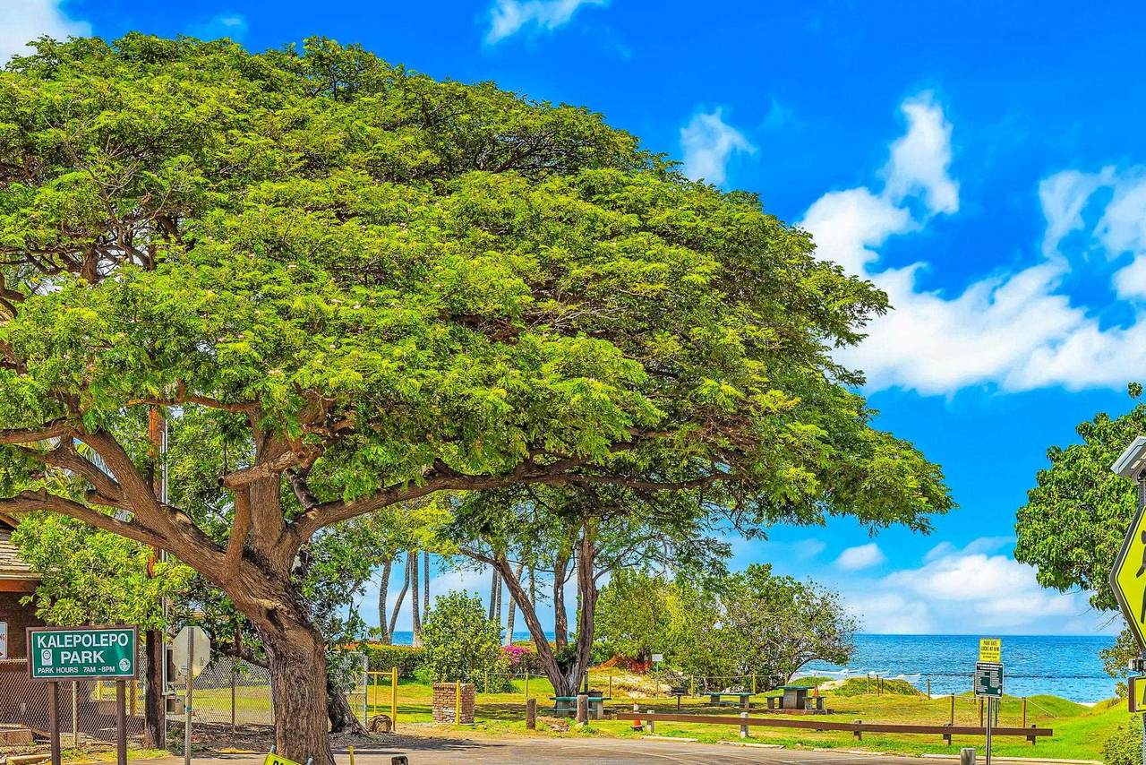 715 Kihei Rd - Photo 1