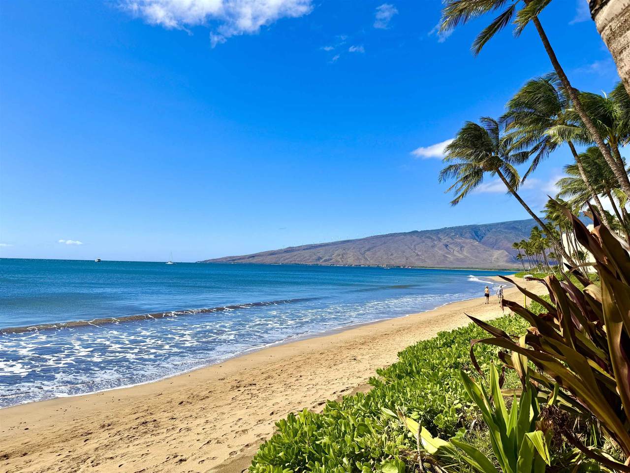61 Kihei Rd - Photo 1