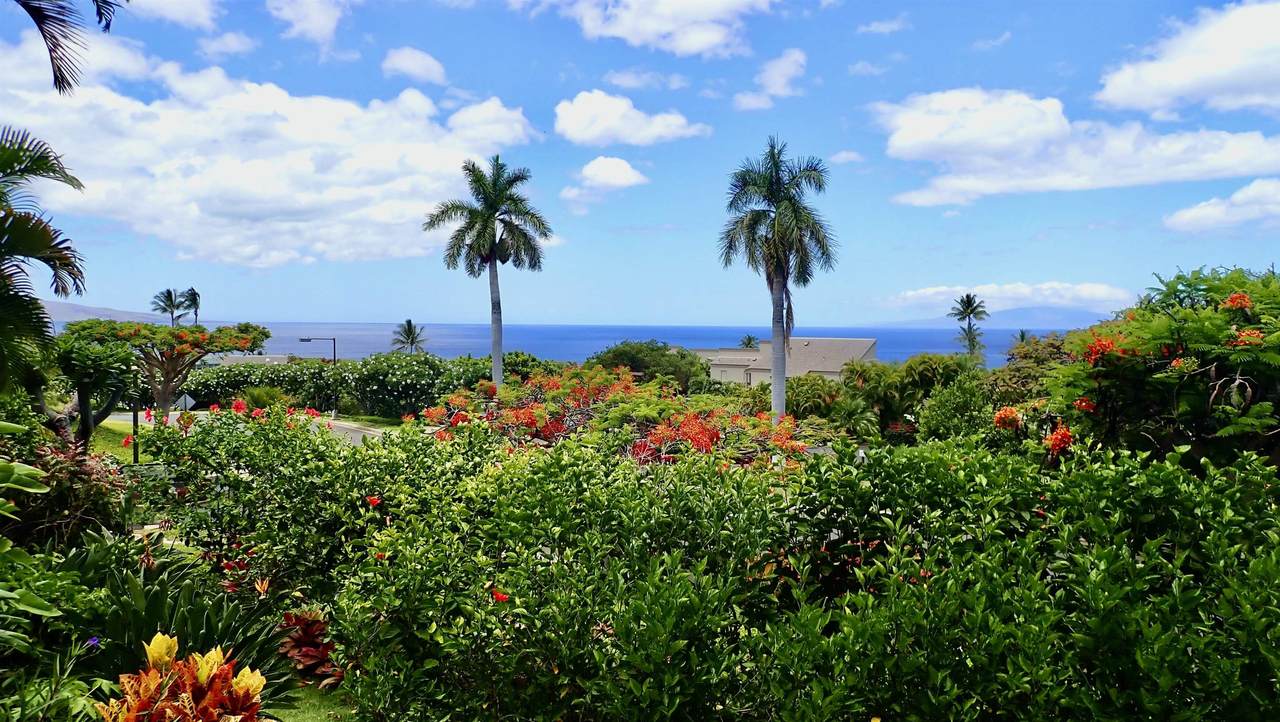 10 Wailea Ekolu Pl - Photo 1