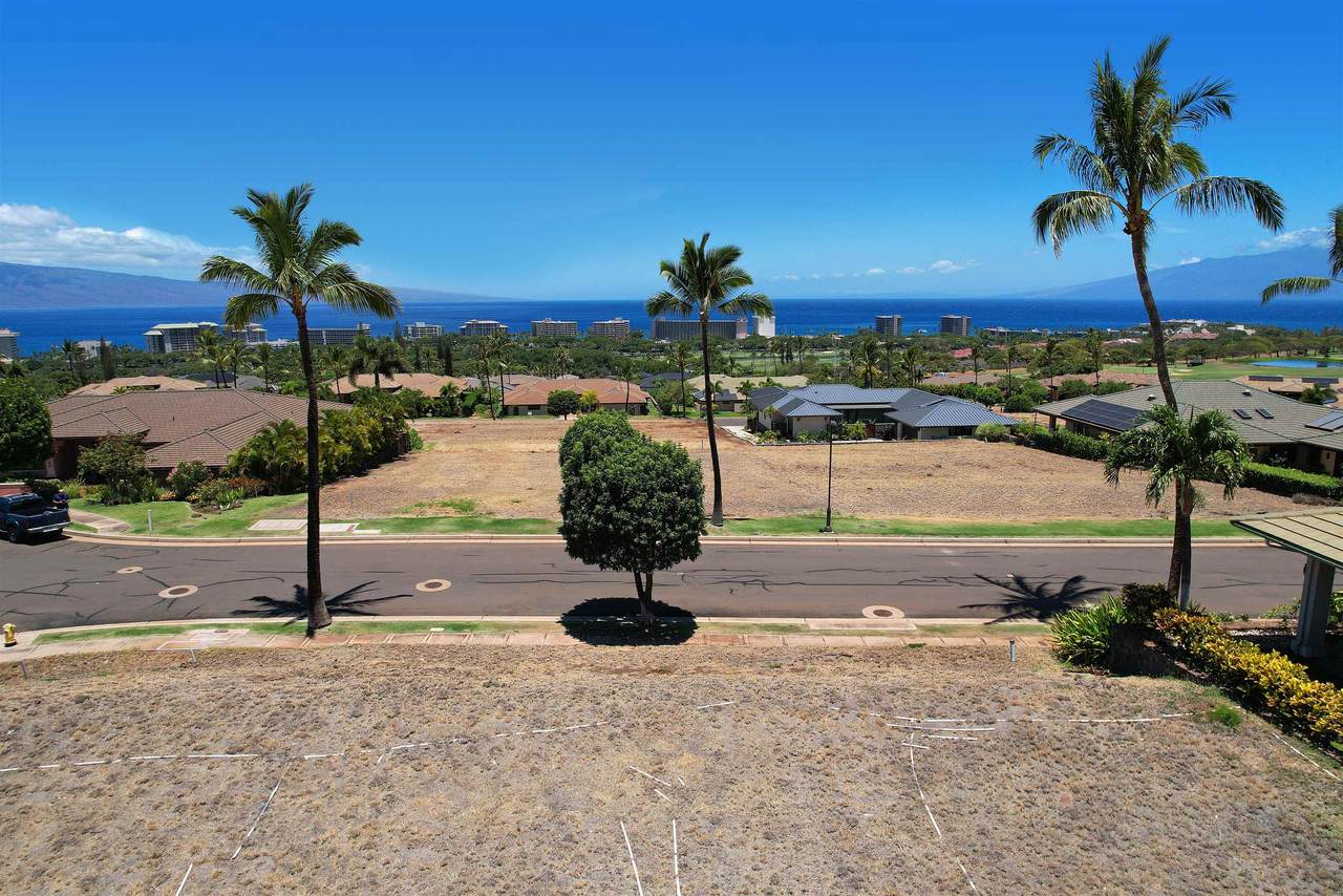 67 Kaulele Pl - Photo 1