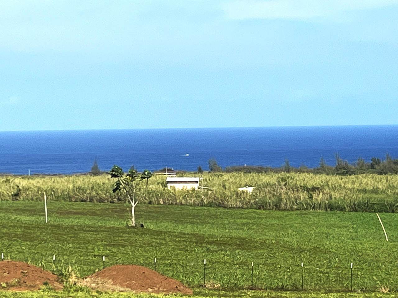 https://bt-photos.global.ssl.fastly.net/maui/orig_boomver_3_406503-2.jpg
