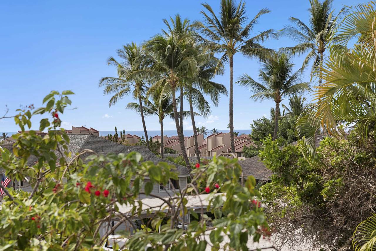 160 Keonekai Rd - Photo 1