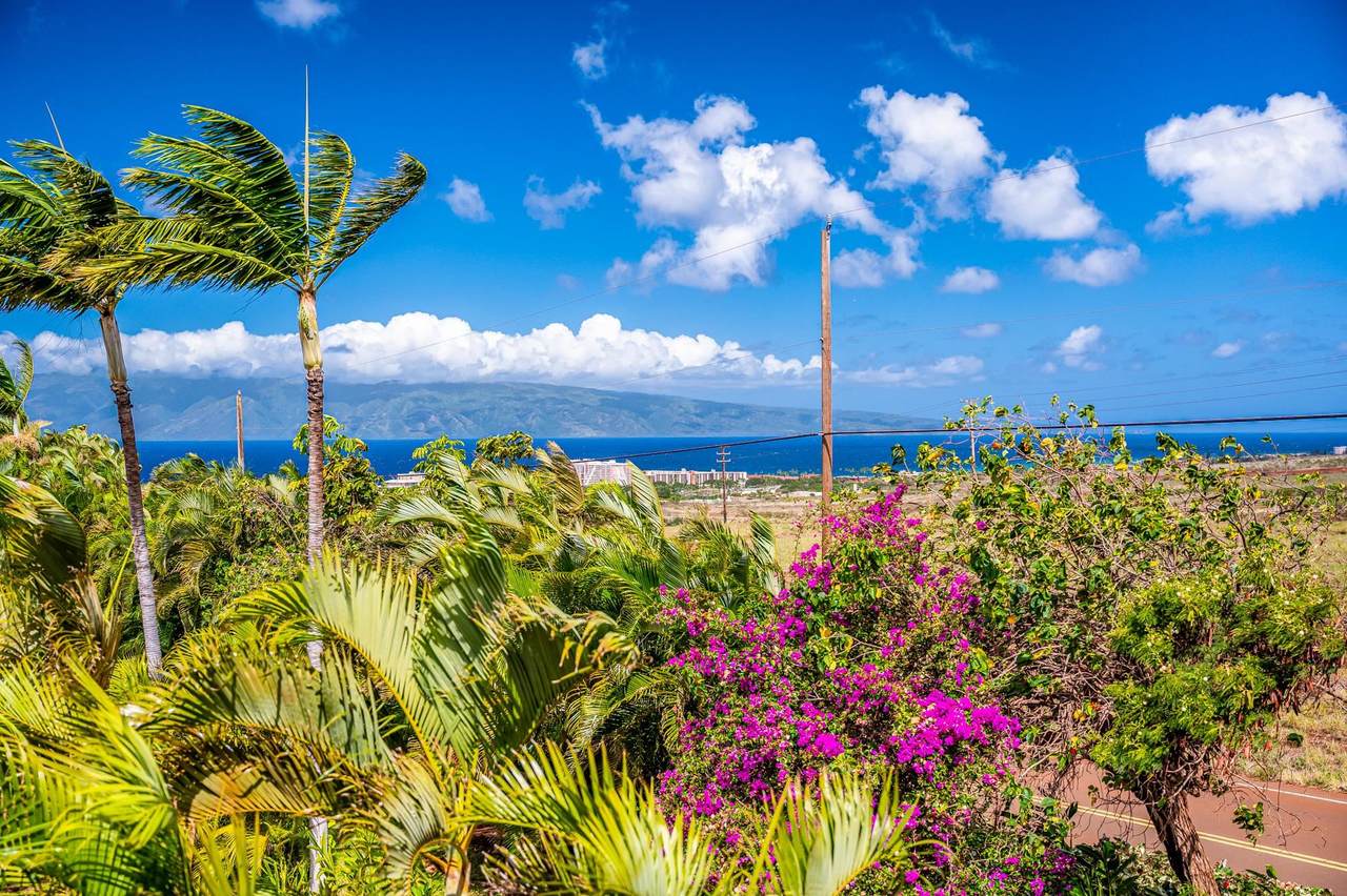 https://bt-photos.global.ssl.fastly.net/maui/1280_boomver_3_408438-2.jpg