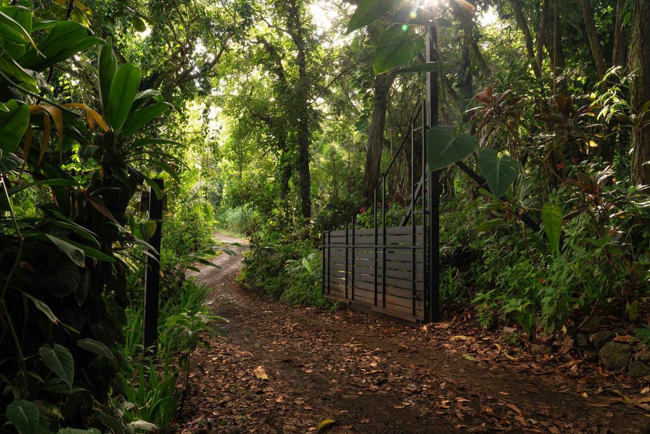 https://bt-photos.global.ssl.fastly.net/maui/1280_boomver_3_408454-2.jpg