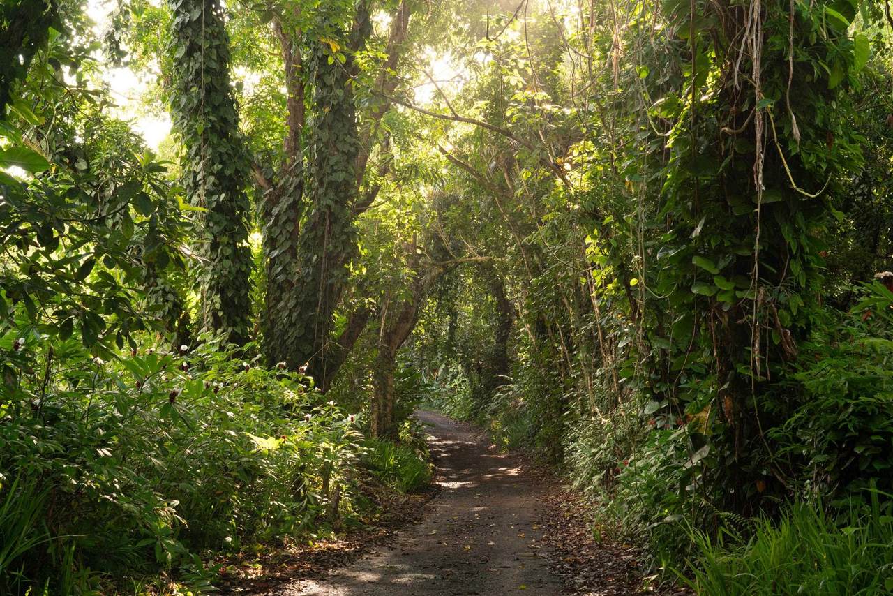 https://bt-photos.global.ssl.fastly.net/maui/1280_boomver_3_408454-2.jpg