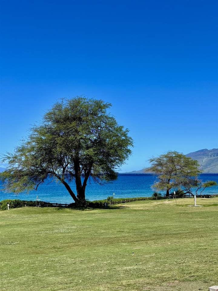 2747 Kihei Rd - Photo 1