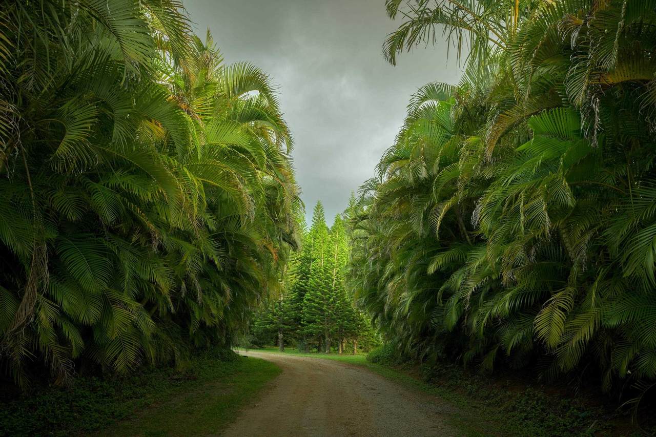 https://bt-photos.global.ssl.fastly.net/maui/1280_boomver_3_409677-2.jpg